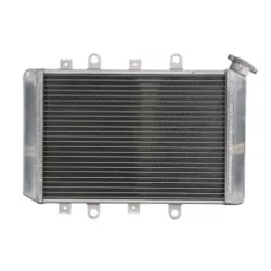 Ψυγείο νερού μοτοσυκλέτας RAD-218 YAMAHA YFM 700F 2007-2008 Ψυγείο νερού μοτοσυκλέτας RAD-218 YAMAHA YFM 700F 2007-2008
