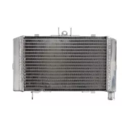 Ψυγείο νερού μοτοσυκλέτας RAD-647 HONDA CB 500 94-03 / 500 (Cup) 98-99/ 500R 1994 / 500S (Sport) 96-03