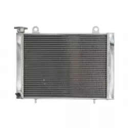 Ψυγείο νερού μοτοσυκλέτας RAD-225 Polaris Ranger 400/500/700/800/900 Ψυγείο νερού μοτοσυκλέτας RAD-225 Polaris Ranger 400/500/700/800/900