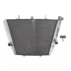 Ψυγείο νερού μοτοσυκλέτας RAD-549 SUZUKI GSX-R 750 2009-2016 / 750UF 2009-2010 Ψυγείο νερού μοτοσυκλέτας RAD-549 SUZUKI GSX-R 750 2009-2016 / 750UF 2009-2010