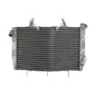 Ψυγείο νερού μοτοσυκλέτας RAD-565 YAMAHA YZF-R6 600 2006-2007 Ψυγείο νερού μοτοσυκλέτας RAD-565 YAMAHA YZF-R6 600 2006-2007 thumb
