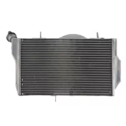 Ψυγείο νερού μοτοσυκλέτας RAD-528 HONDA CBR 1100XX (Blackbird) 1999-2007 Ψυγείο νερού μοτοσυκλέτας RAD-528 HONDA CBR 1100XX (Blackbird) 1999-2007