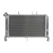 Ψυγείο νερού μοτοσυκλέτας RAD-602 YAMAHA MT-09 900 2014-2016 Ψυγείο νερού μοτοσυκλέτας RAD-602 YAMAHA MT-09 900 2014-2016 thumb
