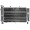 Ψυγείο νερού μοτοσυκλέτας RAD-561 YAMAHA FZ6 600N/600S 04-06 / 600NA (ABS) 05-06 / 600S (Fazer ABS) 2006 Ψυγείο νερού μοτοσυκλέτας RAD-561 YAMAHA FZ6 600N/600S 04-06 / 600NA (ABS) 05-06 / 600S (Fazer ABS) 2006 thumb