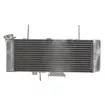 Ψυγείο νερού μοτοσυκλέτας RAD-541 SUZUKI SV 650 2003-2004 Ψυγείο νερού μοτοσυκλέτας RAD-541 SUZUKI SV 650 2003-2004 thumb