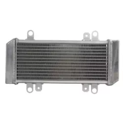 Ψυγείο νερού μοτοσυκλέτας RAD-668 KAWASAKI EX 300 ABS (Ninja) 2013-15 / 300 2013-17 Ψυγείο νερού μοτοσυκλέτας RAD-668 KAWASAKI EX 300 ABS (Ninja) 2013-15 / 300 2013-17
