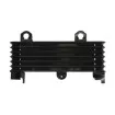 Ψυγείο λαδιού RAD-553 Suzuki DL 1000 (V-Strom) 2002-2006 / TL 1000S 1997-2001 Ψυγείο λαδιού RAD-553 Suzuki DL 1000 (V-Strom) 2002-2006 / TL 1000S 1997-2001 thumb