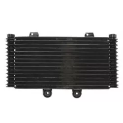 Ψυγείο λαδιού RAD-555 Suzuki GSF 1200/1200S (Bandit) 2001-2006 Ψυγείο λαδιού RAD-555 Suzuki GSF 1200/1200S (Bandit) 2001-2006