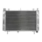 Ψυγείο νερού μοτοσυκλέτας RAD-663 YAMAHA FZS 1000 2001-2005 thumb