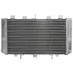 Ψυγείο νερού μοτοσυκλέτας RAD-585 KAWASAKI Z 750 2004-2006 Ψυγείο νερού μοτοσυκλέτας RAD-585 KAWASAKI Z 750 2004-2006 thumb