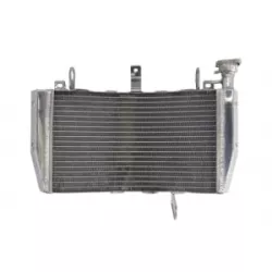 Ψυγείο νερού μοτοσυκλέτας RAD-606 Ducati Monster 821/ 821 Stripe /821 Dark 2014-2016 Ψυγείο νερού μοτοσυκλέτας RAD-606 Ducati Monster 821/ 821 Stripe /821 Dark 2014-2016