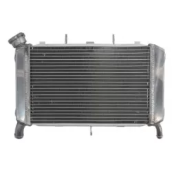 Ψυγείο νερού μοτοσυκλέτας RAD-560 YAMAHA FZ6 600N/600NA/600S /600S2 2007-2009 / 600S Fazer 2007-2008 Ψυγείο νερού μοτοσυκλέτας RAD-560 YAMAHA FZ6 600N/600NA/600S /600S2 2007-2009 / 600S Fazer 2007-2008