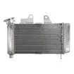 Ψυγείο νερού μοτοσυκλέτας RAD-646 HONDA XL 125V 2001-2006 Ψυγείο νερού μοτοσυκλέτας RAD-646 HONDA XL 125V 2001-2006 thumb