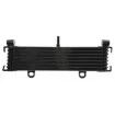 Ψυγείο λαδιού RAD-664 Yamaha XJR 1300 / 1300 SP 1999-2003 Ψυγείο λαδιού RAD-664 Yamaha XJR 1300 / 1300 SP 1999-2003 thumb