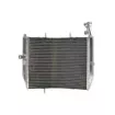 Ψυγείο νερού μοτοσυκλέτας RAD-613 Triumph Daytona 675 2006-2012 Ψυγείο νερού μοτοσυκλέτας RAD-613 Triumph Daytona 675 2006-2012 thumb