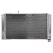 Ψυγείο νερού μοτοσυκλέτας RAD-517 HONDA CB 600F / 600FA (Hornet ABS) - 2008-2013 Ψυγείο νερού μοτοσυκλέτας RAD-517 HONDA CB 600F / 600FA (Hornet ABS) - 2008-2013 thumb