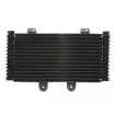 Ψυγείο λαδιού RAD-555 Suzuki GSF 1200/1200S (Bandit) 2001-2006 Ψυγείο λαδιού RAD-555 Suzuki GSF 1200/1200S (Bandit) 2001-2006 thumb