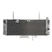Ψυγείο νερού μοτοσυκλέτας RAD-539 SUZUKI SV 650S 2003-2004 Ψυγείο νερού μοτοσυκλέτας RAD-539 SUZUKI SV 650S 2003-2004 thumb
