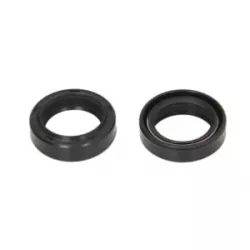 Τσιμούχες για αμορτισέρ AB55-102 Τσιμούχες για αμορτισέρ AB55-102