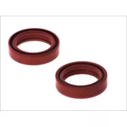 Τσιμούχες για αμορτισέρ AB55-104