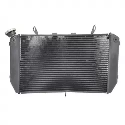 Ψυγείο νερού μηχανής για YAMAHA FZ1 2006-2012 Ψυγείο νερού μηχανής για YAMAHA FZ1 2006-2012