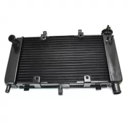 Ψυγείο νερού μηχανής για YAMAHA FZ6/FAZER 2004-2010 Ψυγείο νερού μηχανής για YAMAHA FZ6/FAZER 2004-2010