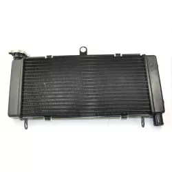 Ψυγείο νερού μηχανής για HONDA HORNET 1998-2005 Ψυγείο νερού μηχανής για HONDA HORNET 1998-2005