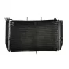 Ψυγείο νερού μηχανής για HONDA CBR600RR 2003-2006 Ψυγείο νερού μηχανής για HONDA CBR600RR 2003-2006
