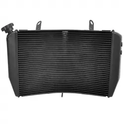 Ψυγείο νερού μηχανής για YAMAHA R1 2004-2006 Ψυγείο νερού μηχανής για YAMAHA R1 2004-2006