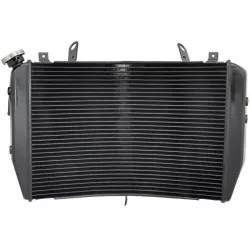 Ψυγείο νερού μηχανής για YAMAHA R1 2007-2008 Ψυγείο νερού μηχανής για YAMAHA R1 2007-2008