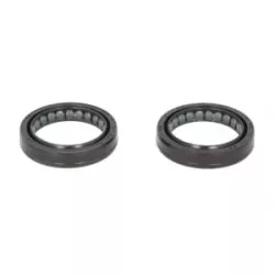 Τσιμούχες για αμορτισέρ P40FORK455138