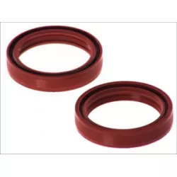 Τσιμούχες για αμορτισέρ AB55-135