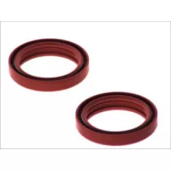 Τσιμούχες για αμορτισέρ AB55-137