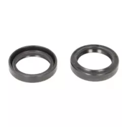 Τσιμούχες για αμορτισέρ P40FORK455011