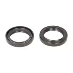 Τσιμούχες για αμορτισέρ P40FORK455035