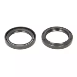 Τσιμούχες για αμορτισέρ P40FORK455063