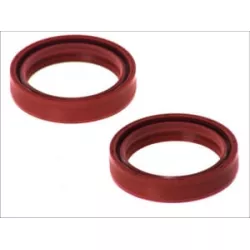 Τσιμούχες για αμορτισέρ AB55-119