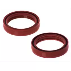 Τσιμούχες για αμορτισέρ AB55-122