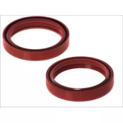 Τσιμούχες για αμορτισέρ AB55-126