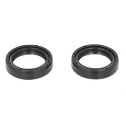 Τσιμούχες για αμορτισέρ AB55-128