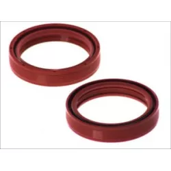 Τσιμούχες για αμορτισέρ AB55-124