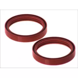 Τσιμούχες για αμορτισέρ AB55-131