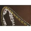 Αλυσίδα κίνησης μοτοσυκλέτας RENTHAL CHAIN R4 SRS ROAD 525X114 Αλυσίδα κίνησης μοτοσυκλέτας RENTHAL CHAIN R4 SRS ROAD 525X114 thumb