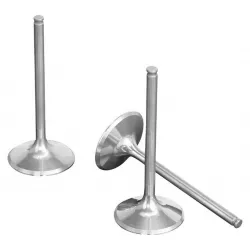 Βαλβίδα εξαγωγής (τιτανίου) ProX για KTM 450SX-F