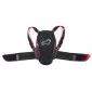 Παιδική προστασία πλάτης ALPINESTARS NUCLEON KR-Y thumb