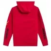 Φούτερ μοτοσυκλέτας ALPINESTARS PO ELLIPTIC RED thumb