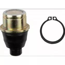 Σφαιρική ένωση ψαλιδιού μηχανής LWR CAN AM MOOSE RACING 42-1042 Σφαιρική ένωση ψαλιδιού μηχανής LWR CAN AM MOOSE RACING 42-1042