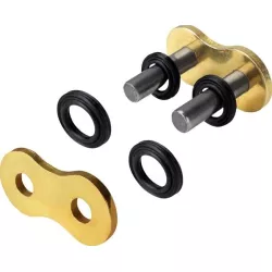 Ασφάλεια αλυσίδας REGINA 520ZRE C