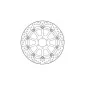 Δισκόπλακα MOTO-MASTER BRAKE DISC HALO T-FLOATER BMW S 1000 RR ABS 17-20 thumb