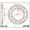 Γρανάζι πίσω κίνησης JT Sprockets JTR300.42 Γρανάζι πίσω κίνησης JT Sprockets JTR300.42 thumb